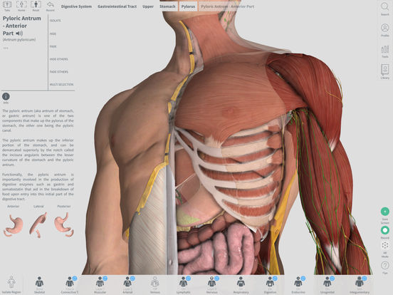 i bought the complete anatomy app for ipad do i need to also buy it for mac?